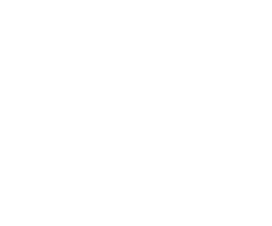 LD Systems